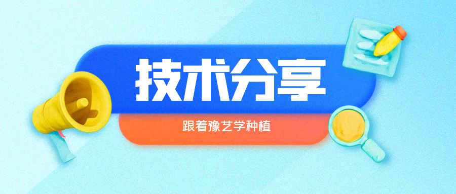 秋大棚辣椒、番茄育苗關(guān)鍵技術(shù)分享